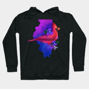 Illinois Cardinal and Violets Hoodie